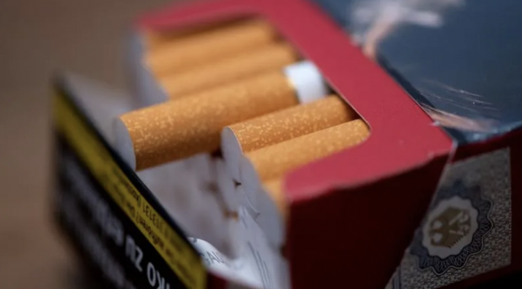 Доля нелегальной табачной продукции в Ленобласти выросла в 200 раз