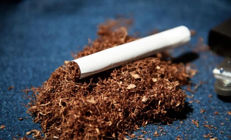 Госдума приняла закон о комплексном регулировании рынка табака